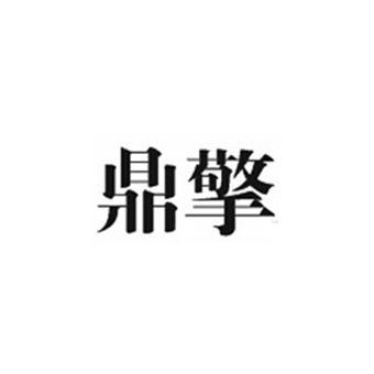 昆明理工鼎擎科技股份